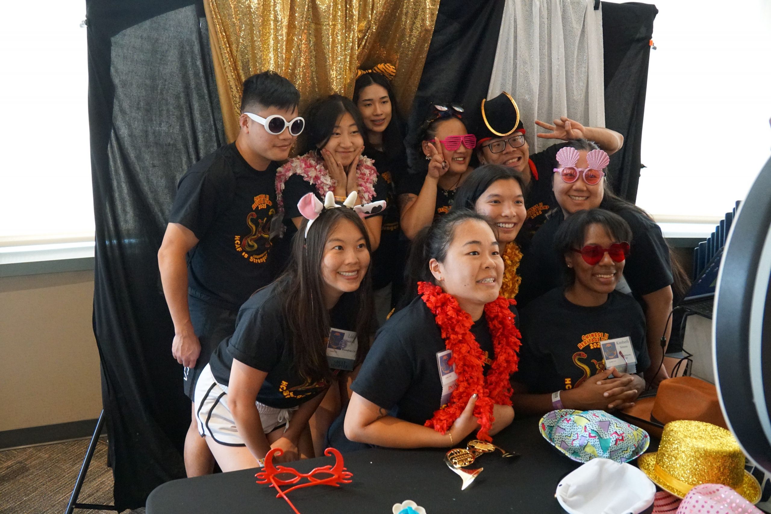 Chinese Cultural Camp Adoptive Families