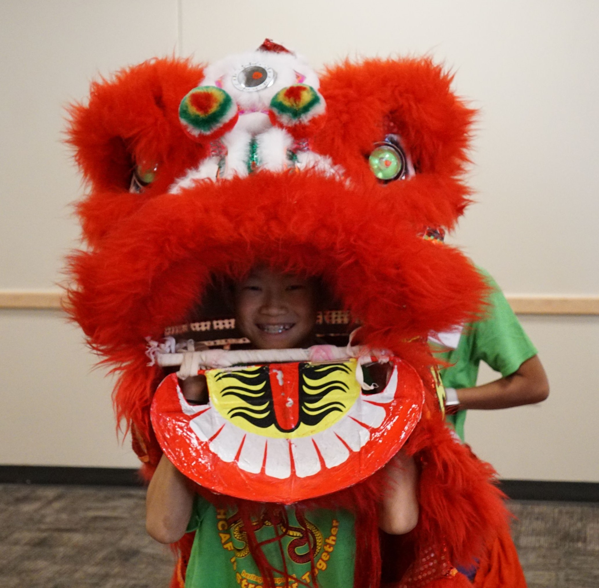 Chinese Cultural Camp Adoptive Families